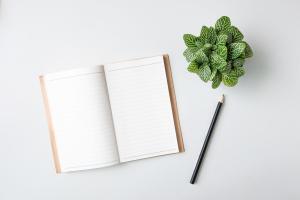 Littlebigbox Web Design - Website Design Company Southampton, UK