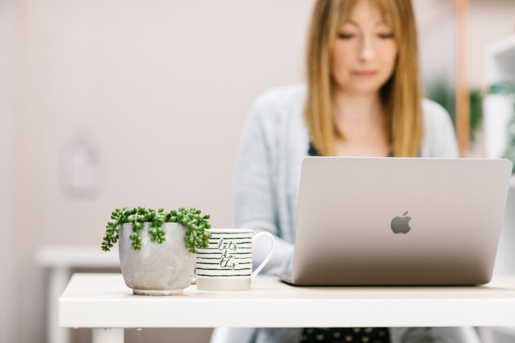 How to work with Littlebigbox in 2021 | A Guide