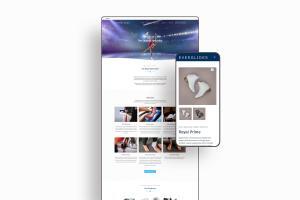 Everglides Website - Littlebigbox Website Design Company