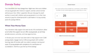 Donation Feature - Youth Options Charity Website Design