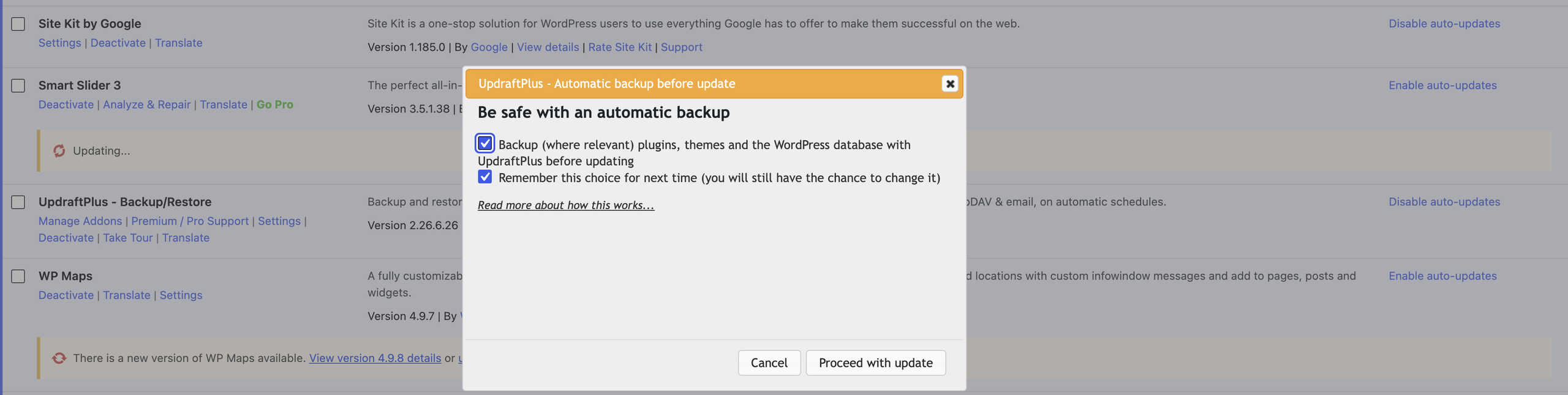 Taking a backup before updating a WordPress website